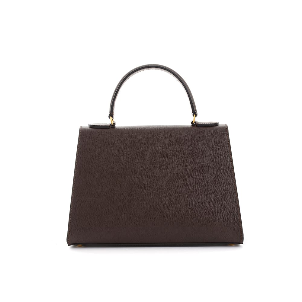 243_palm_brown_back